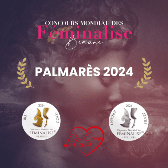 post palmares 2024 - Feminalise